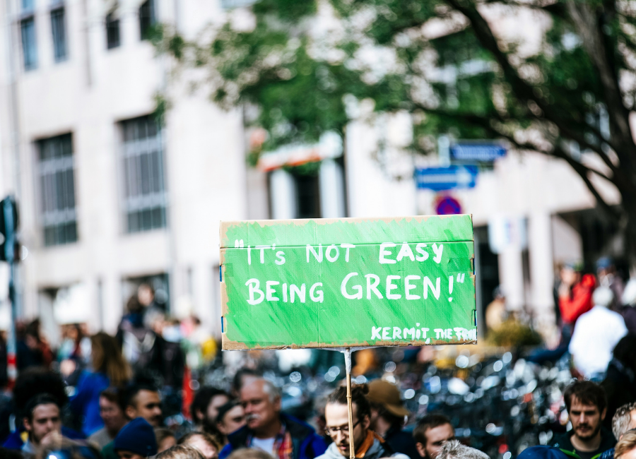 Greenlash to greenhushing: is saying less costing more?